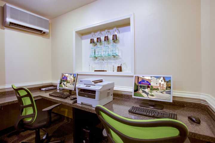 gallery image 10