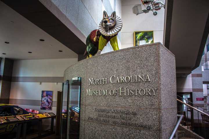gallery image 9