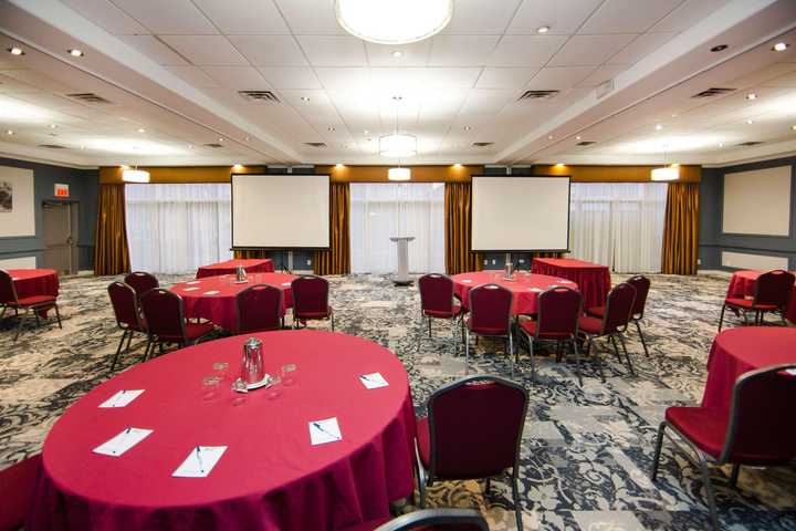 gallery image 12