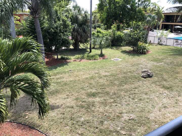 gallery image 0