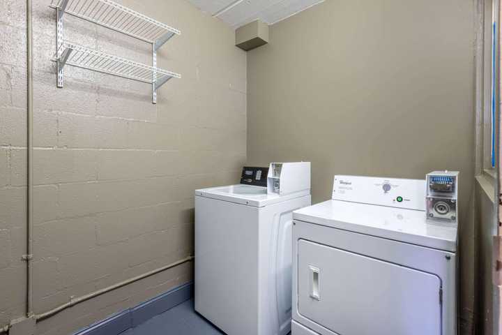 gallery image 15