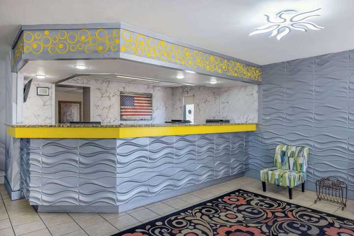 gallery image 7