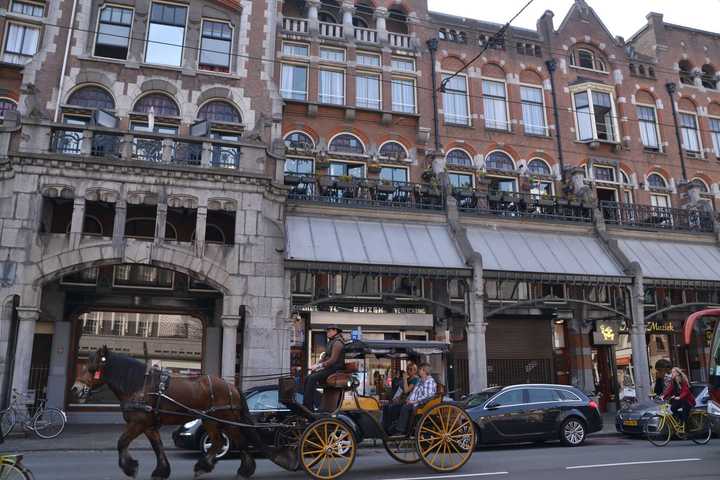 gallery image 11