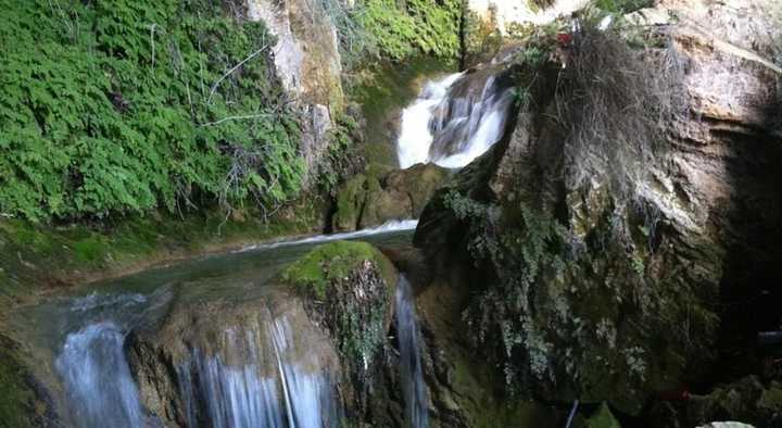 gallery image 10