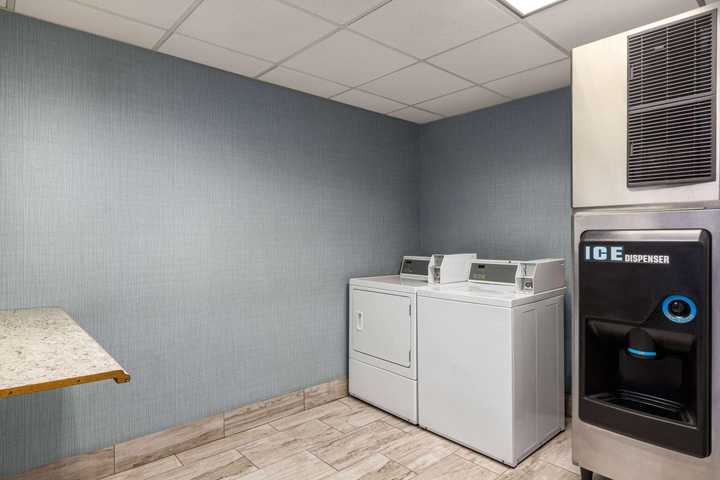 gallery image 15