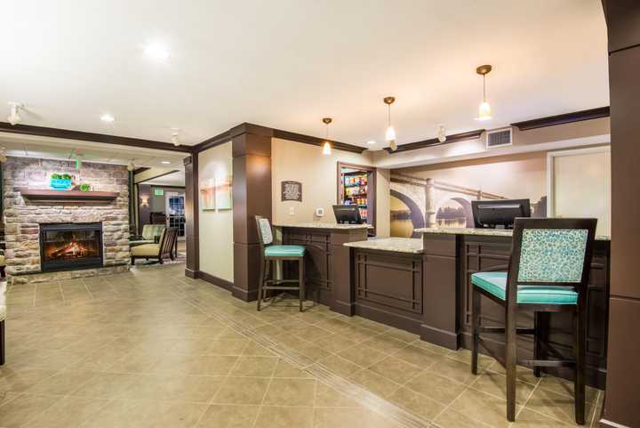 gallery image 8
