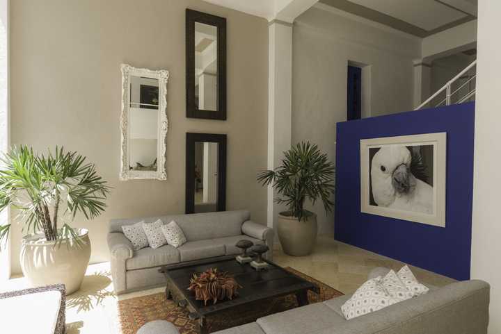 gallery image 0