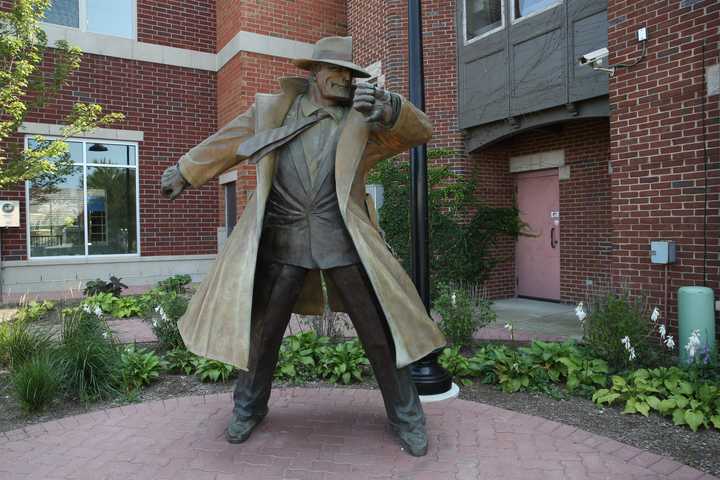 gallery image 7