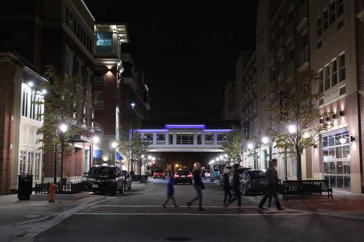 gallery image 33