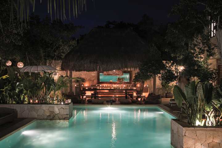 gallery image 50