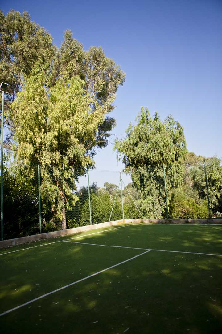 gallery image 12