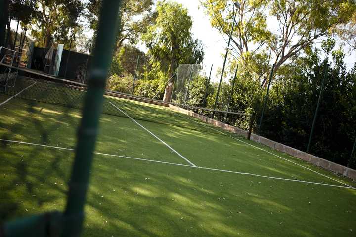 gallery image 15
