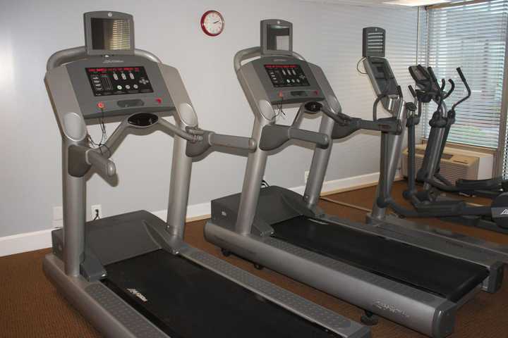 gallery image 19