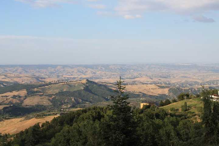 gallery image 0
