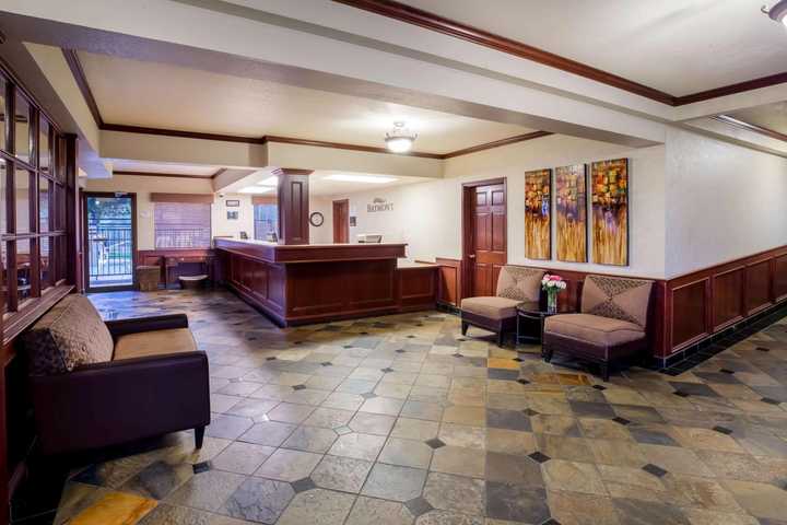gallery image 0