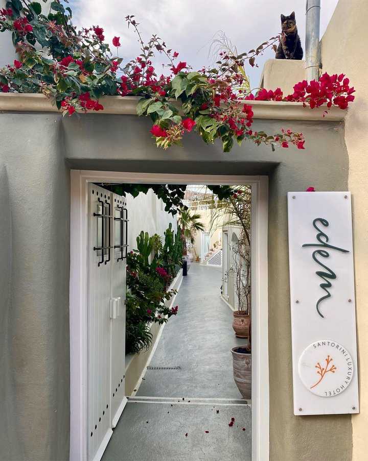 gallery image 62