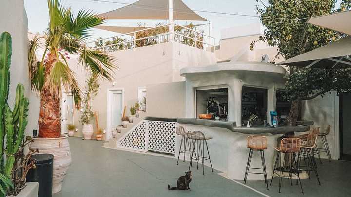 gallery image 0