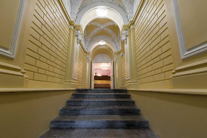 gallery image 0