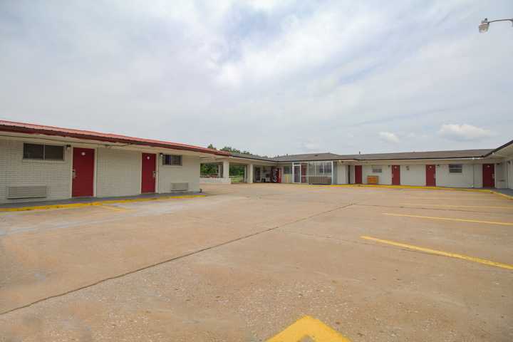 gallery image 8