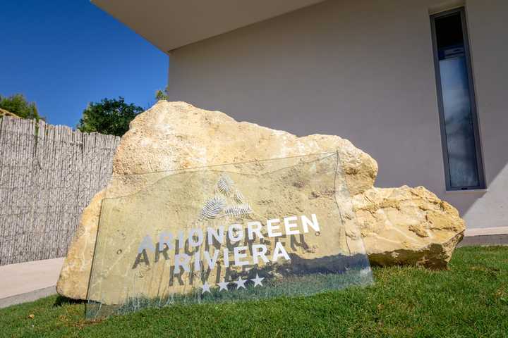 gallery image 2