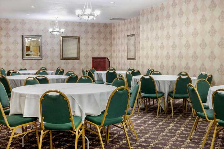 gallery image 0