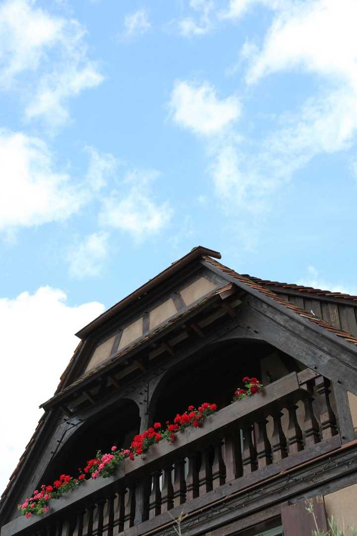 gallery image 13