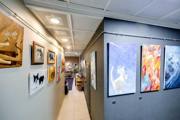 gallery image 0