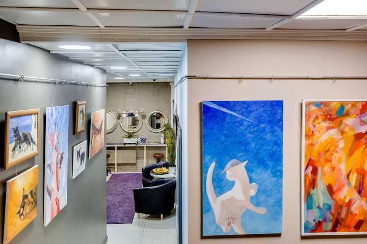 gallery image 5