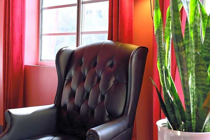 gallery image 17