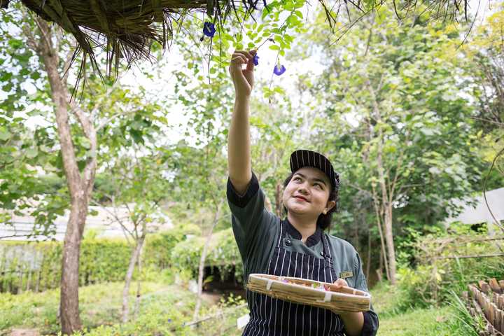 gallery image 87