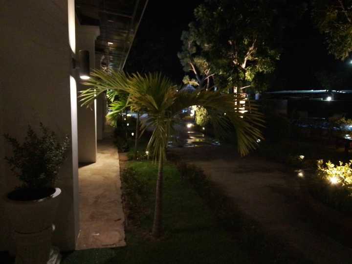gallery image 73