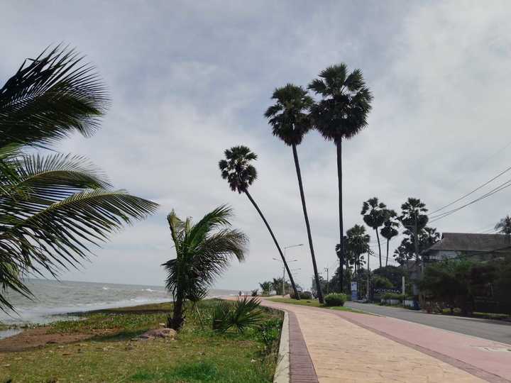 gallery image 14