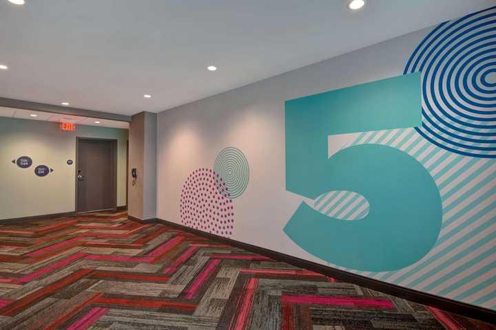 gallery image 8