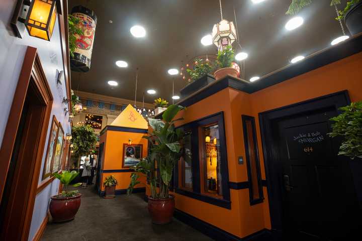 gallery image 14