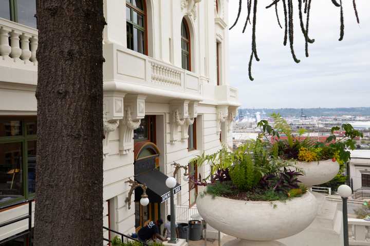 gallery image 9