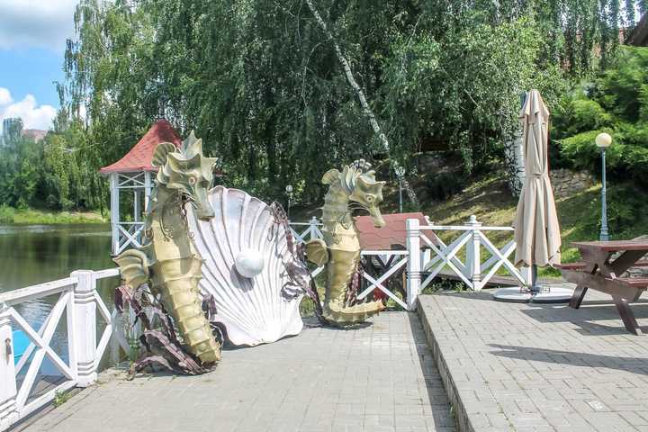 gallery image 0
