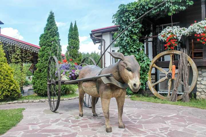 gallery image 13