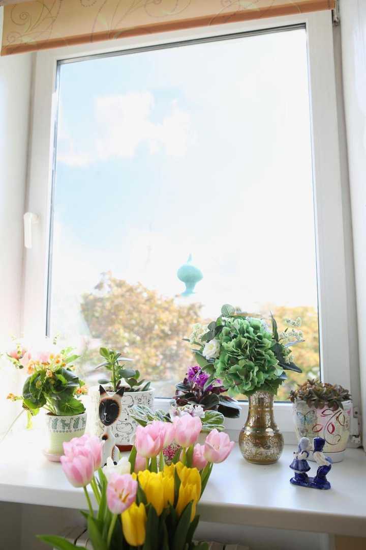 gallery image 0