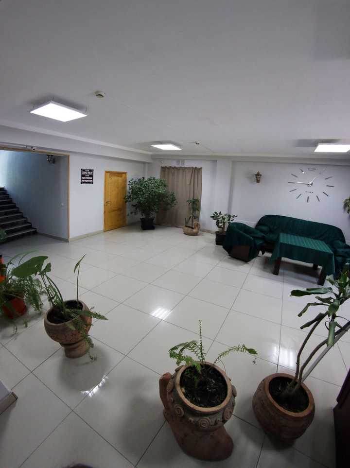 gallery image 8