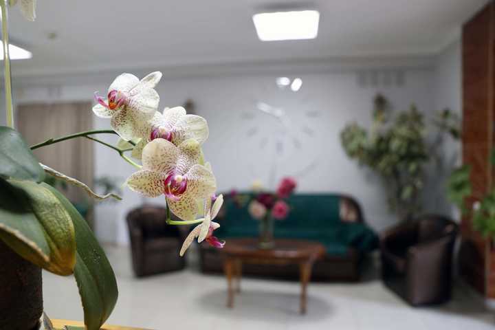 gallery image 17