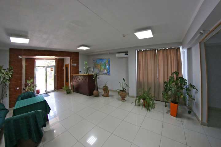 gallery image 19