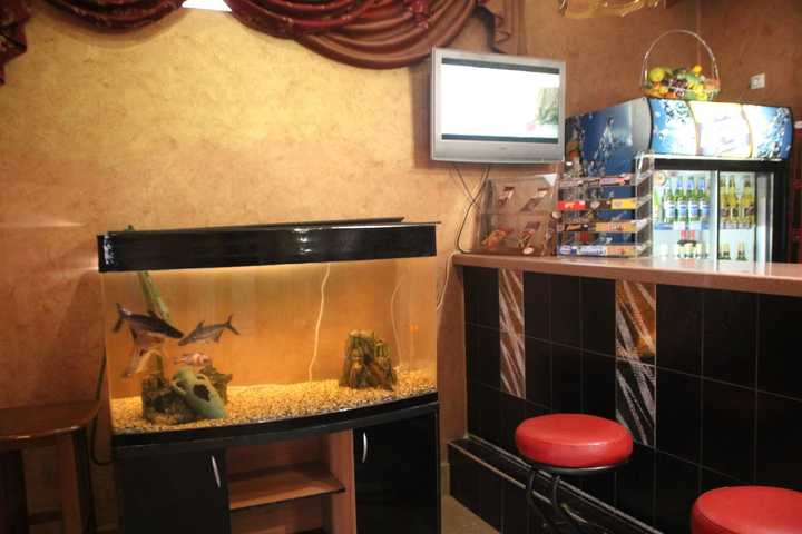 gallery image 1