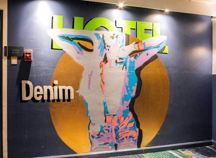gallery image 11