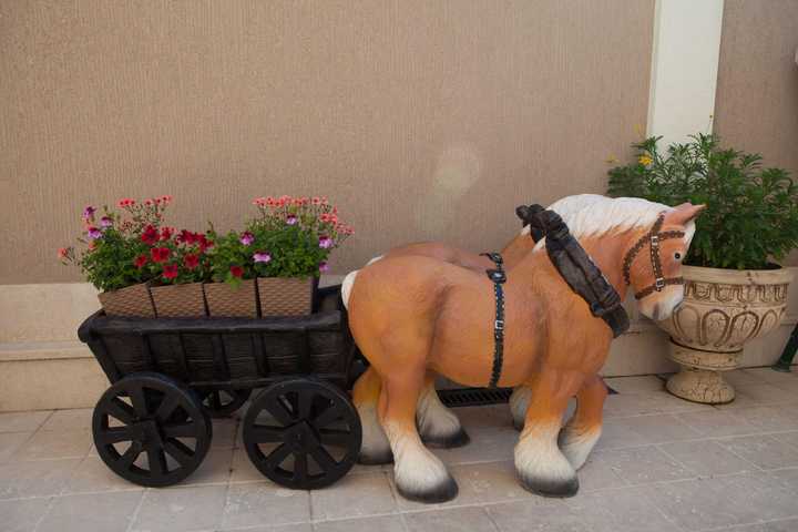 gallery image 12