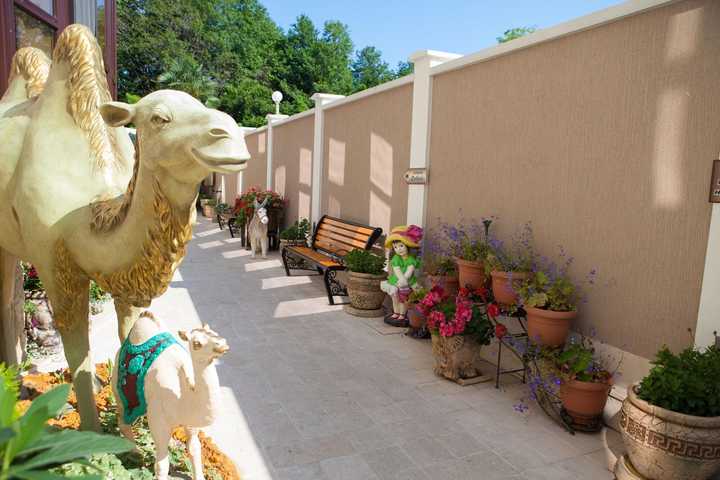 gallery image 23