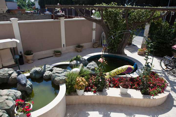 gallery image 26