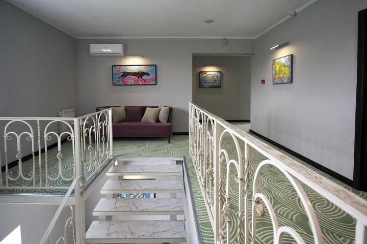 gallery image 0