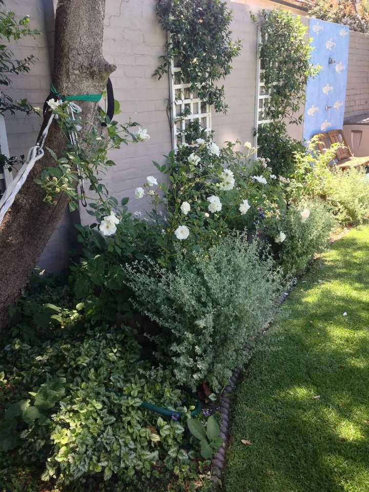 gallery image 9