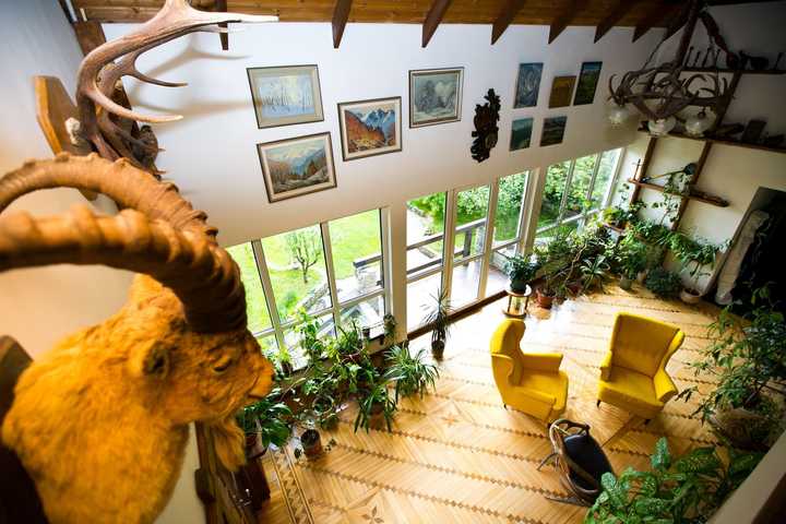 gallery image 2