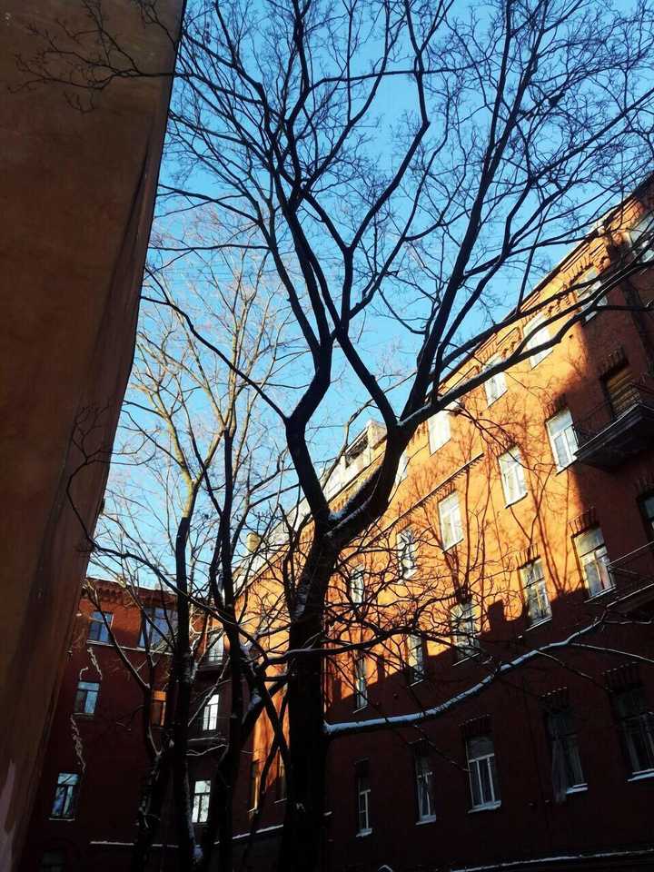 gallery image 11